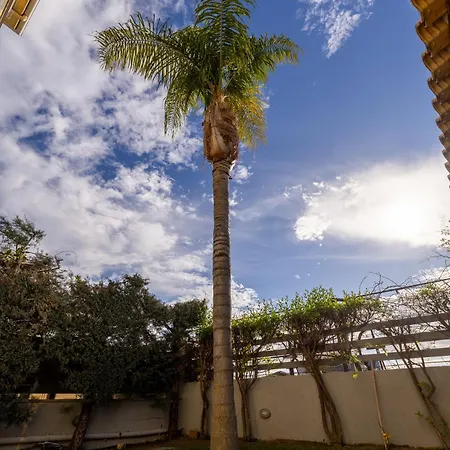 Breezy Palms *