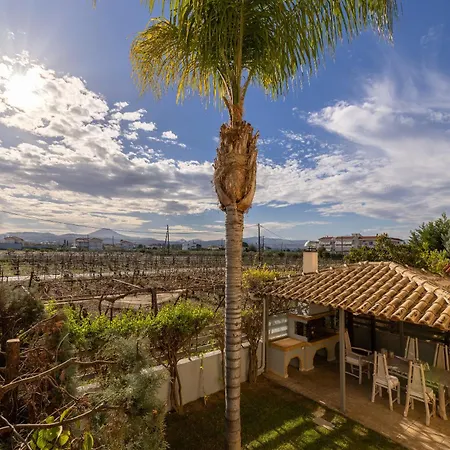Breezy Palms